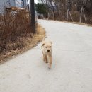 삼일타이어 이미지