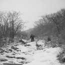 미리가보는 산행"비급을 찾아서[배내고개-배내봉-간월산-신불산-영축산-함박등-청수중안능선-백련 산행기] 이미지