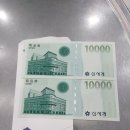 산본꽃돼지 이미지