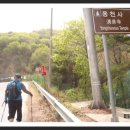 헐티재휴게소 Daum카페