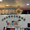 베베펫 천안 애견미용 | 천안에서 가장 가까운 애견미용학원, 이바우펫 평택점 다녀온 솔직후기