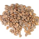 미카벨라 이미지