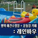 이글스크린 | 평택 애견운동장 (인조잔디), 수영장 애견카페 : 레인바우