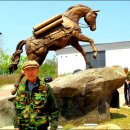 고랑포구역사공원 이미지