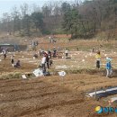 대금농장 이미지