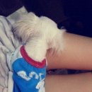 도화동물병원 이미지