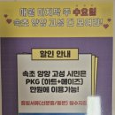 속초 얼라이브하트 &amp; 다이나믹메이즈