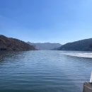 11545-09-15-08 | 23년 전 그곳 맞나요? 춘천 남이섬 방문 후기(입장료, 주차비 등)