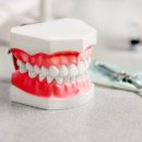 하루플란트치과의원 이미지