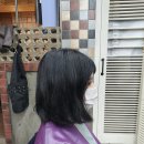 모도리헤어 이미지