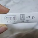 차차여성의원 이미지