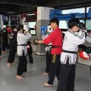 태극합기도 이미지