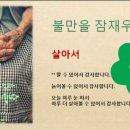 월아슈퍼 이미지