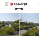 금호천 이미지