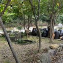 조아조아놀이터 이미지