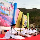 여수 영취산진달래축제 이미지