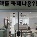 랙돌카페냐옹 이미지