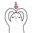원당애견미용 이미지
