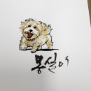 (상)글씨 이야기 캘리그라피 | 고등학교 축제 캘리그라피 체험 후기｜현장을 읽고 글씨로 답하는 행사 전문 작가