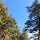 와인과 세계문화 | 1박2일 안동 투어 도산서원 264청포도와인 세계기록유산 전시체험관