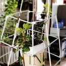 수경이네 세탁소 이미지