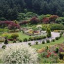 호수 정원 펜션 이미지