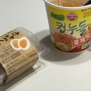 2024 캐럿랜드 양일 후기 | 연차 사유 : 정기후원단체 성과보고회 참석
