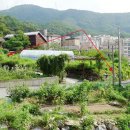 목현동 59 이미지