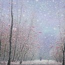 나리다방 - 거제시 | 나리다방