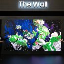 상업용 43 이미지