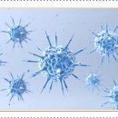 연세하이브치과의원 이미지