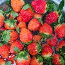 에이디푸드 | 2512 12월의 마무리+2026 붉은말의해