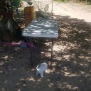 이든펫샵 이미지