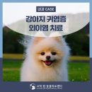 고척원동물의료센터 이미지