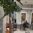 로만헤어 이미지