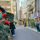 말나카페(Marna cafe) | 대만 타이베이 카페 추천｜중정기념당·융캉제 근처 BUZI CAFE(布子咖啡) 후기