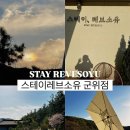 스테이 레브 이미지