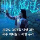 우두정거장 | [제주도 3박 4일 파워 J의 여행 코스 3탄] 제주 워터월드 체험 후기 & 송가네 흑돼지 제주도민 맛집