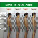 명성체육관 이미지