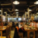 탐라제주도야지 이미지