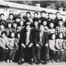 신서초교 이미지