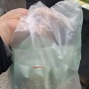 [24.12.12-24] 나 홀로 중국 상하이 우전 항저우 쑤저우 여행 총경비와 일정 (가성비 여행)