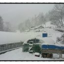 진안흑염소 농장 이미지