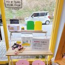 세어니네스콘