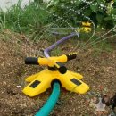 옥이텃밭 이미지