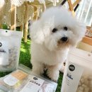 주식회사 동물의집 이미지