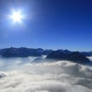 인생신호등 이미지