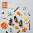 레몬과 오렌지 이미지