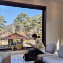 카페인하원 이미지