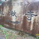대곡하루야채